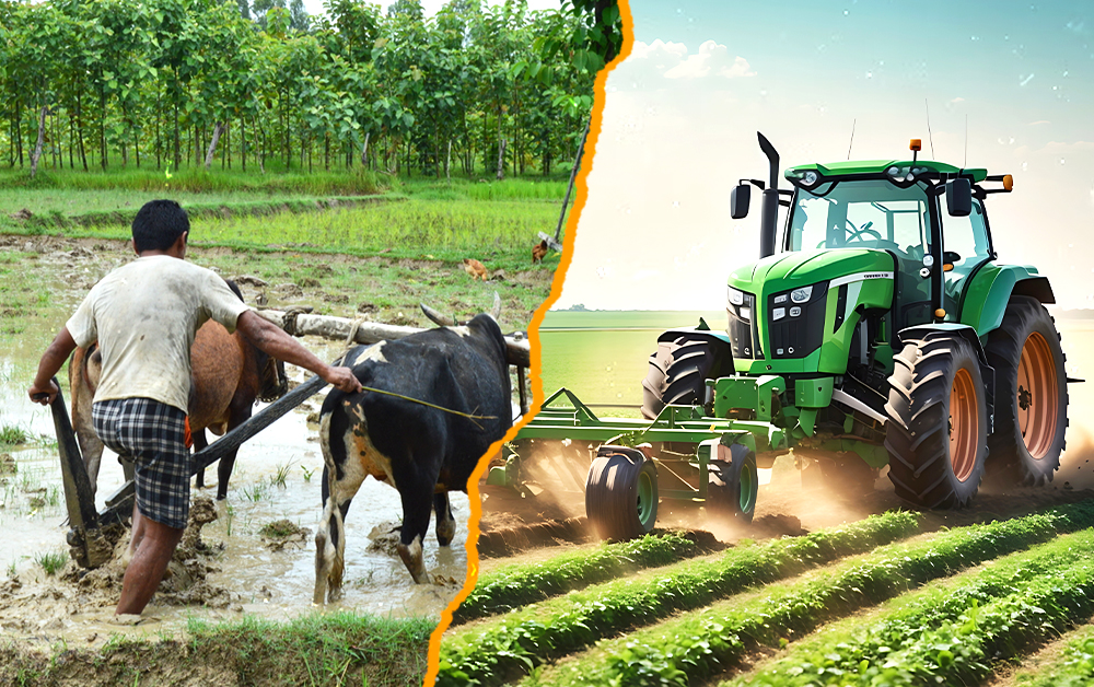 Nepal's Agricultural Divide: Tradition vs. Technology